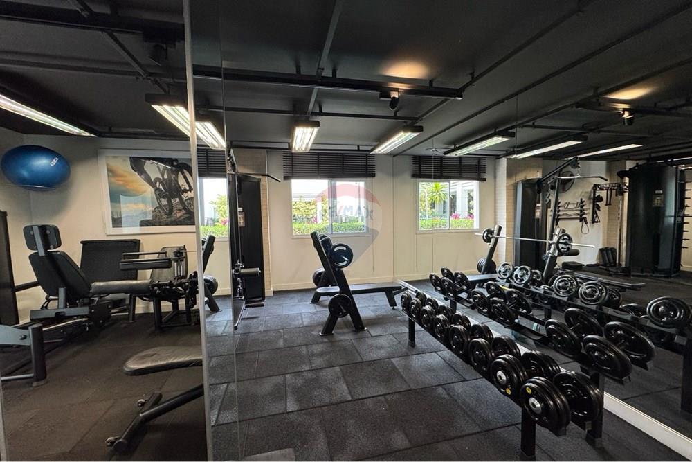 Apartamento - Alugar - São Paulo , São Paulo - WhatsApp Image 2026-02-17 at 10.41.24 (3).jpeg - 602411007-26