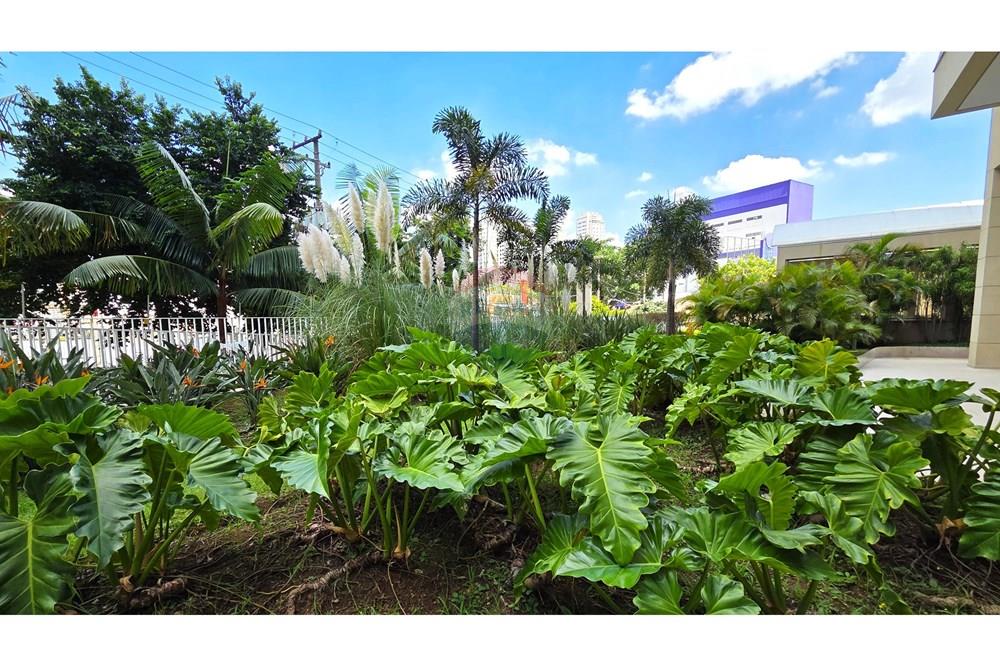 Apartamento - Venda - São Paulo , São Paulo - 22 - Jardim.jpg - 602141019-38