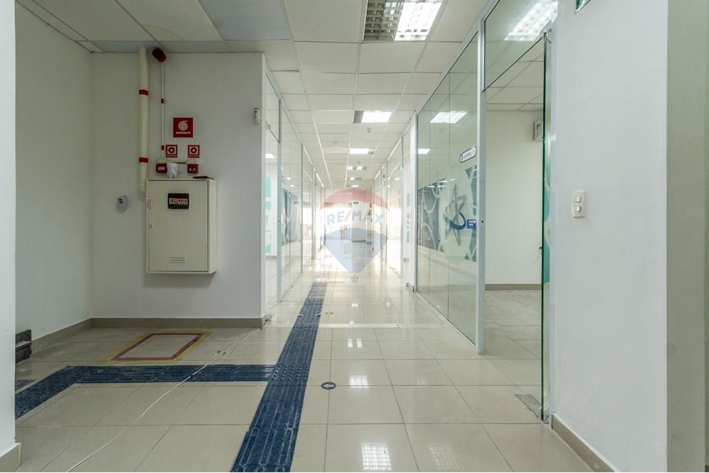 Prédio - Alugar - São Paulo , São Paulo - Honorio (29).jpeg - 601451034-27