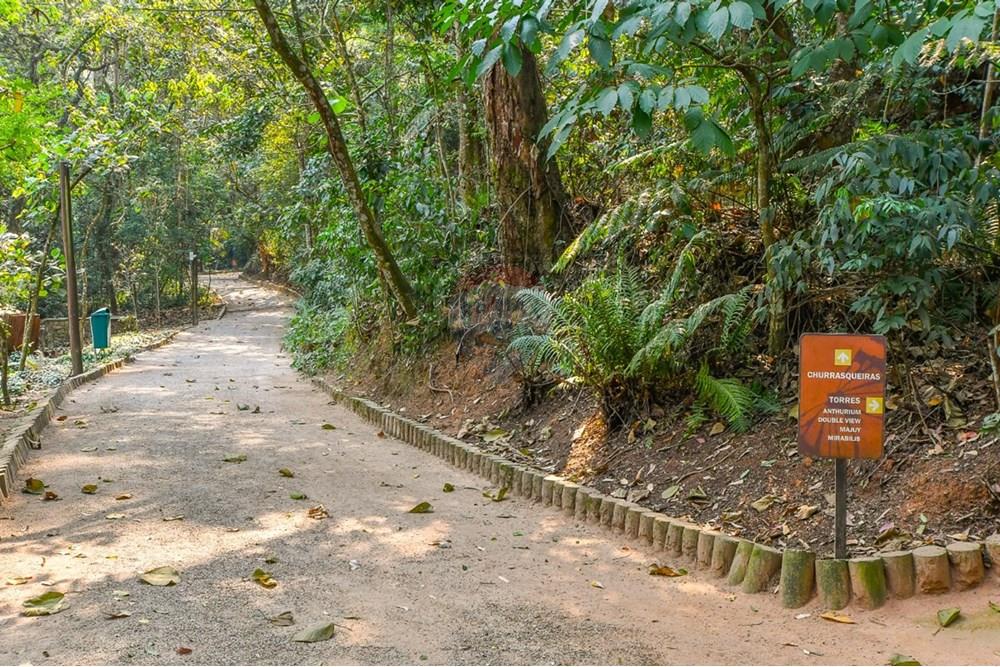 Apartamento - Venda - São Paulo , São Paulo - 1739388809022-foto_18.jpeg - 601251016-103