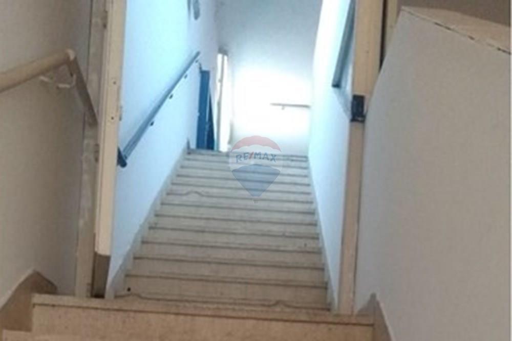 Galpão - Alugar - São Paulo , São Paulo - 5.jpg - 602291021-293