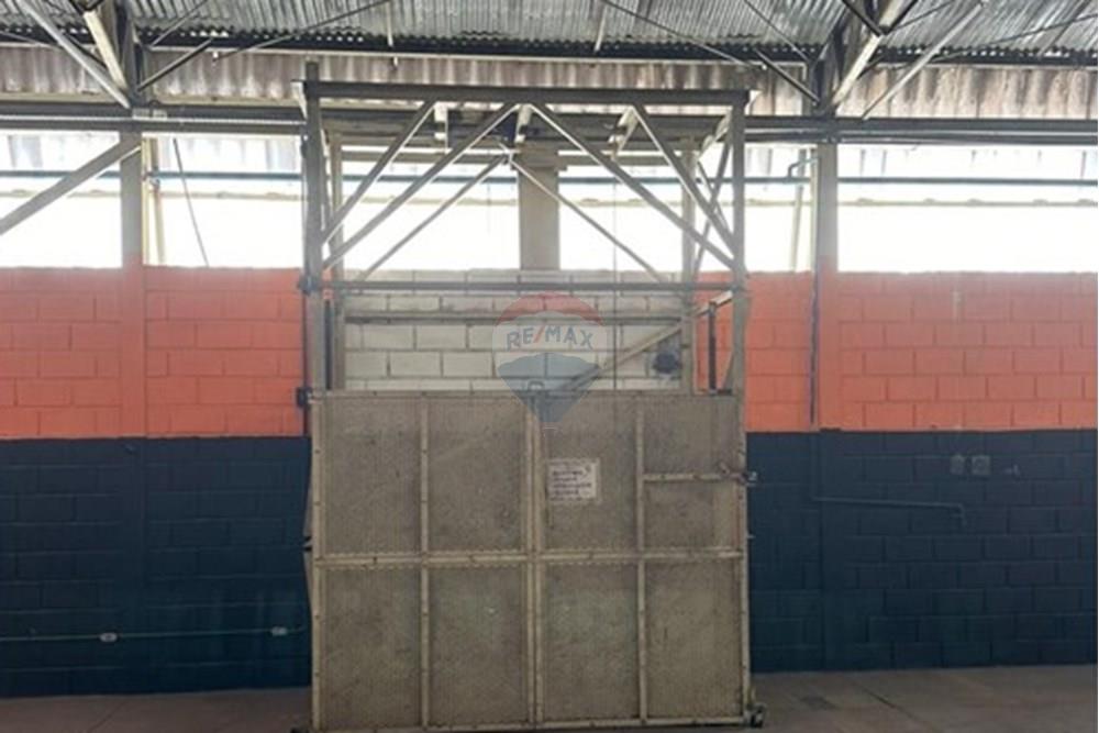 Galpão - Alugar - Caieiras , São Paulo - IMG-20251021-WA0031.jpg - 602141065-32