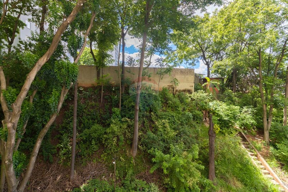 Apartamento - Venda - São Paulo , São Paulo - IMG_319414.jpg - 601771093-80