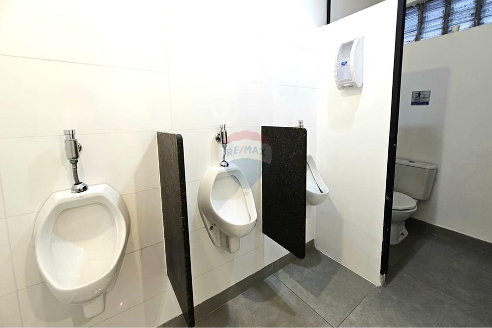 Casa Comercial - Alugar - São Paulo , São Paulo - 040b38b7-06ca-458e-813e-91b9ed3482f9.jpg - 602361016-33