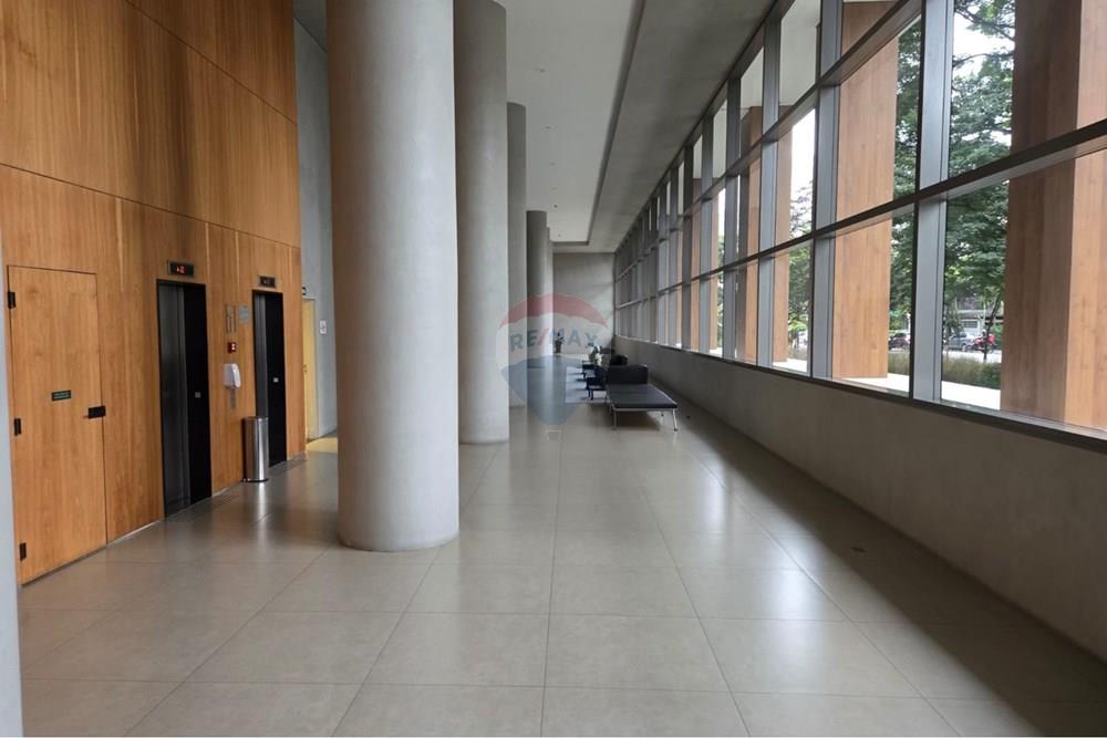 Apartamento - Alugar - São Paulo , São Paulo - WhatsApp Image 2026-03-12 at 15.33.21.jpeg - 601361081-30