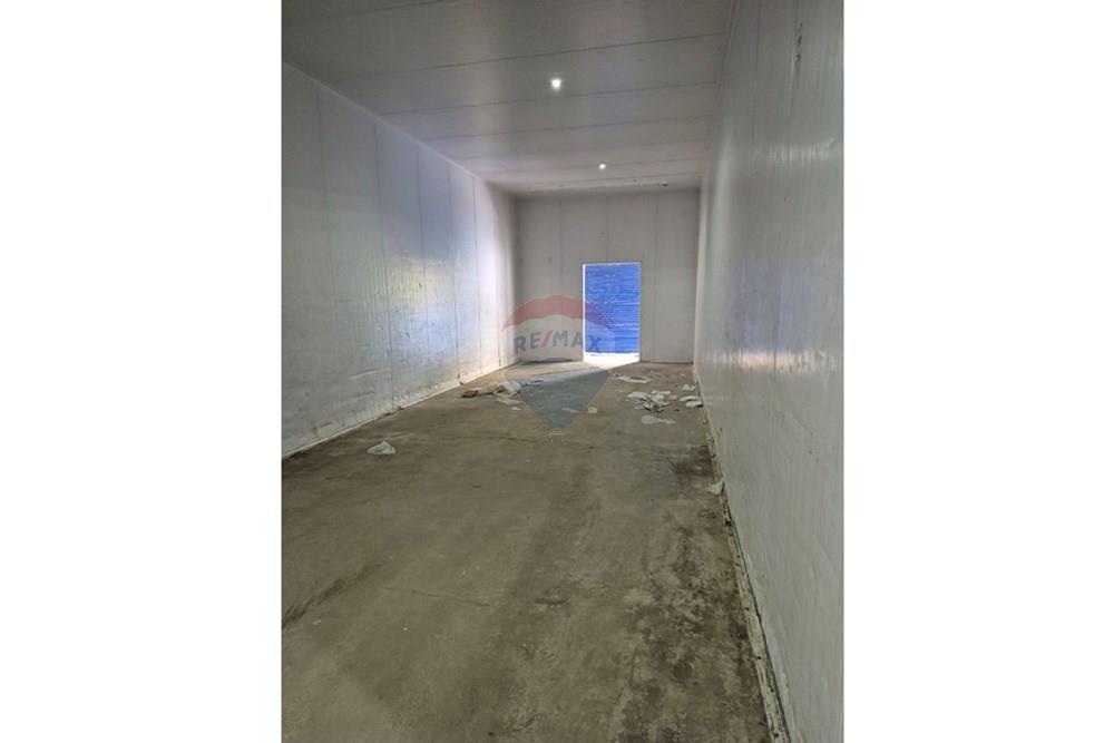 Galpão - Alugar - São Paulo , São Paulo - B.jpg - 601261084-50