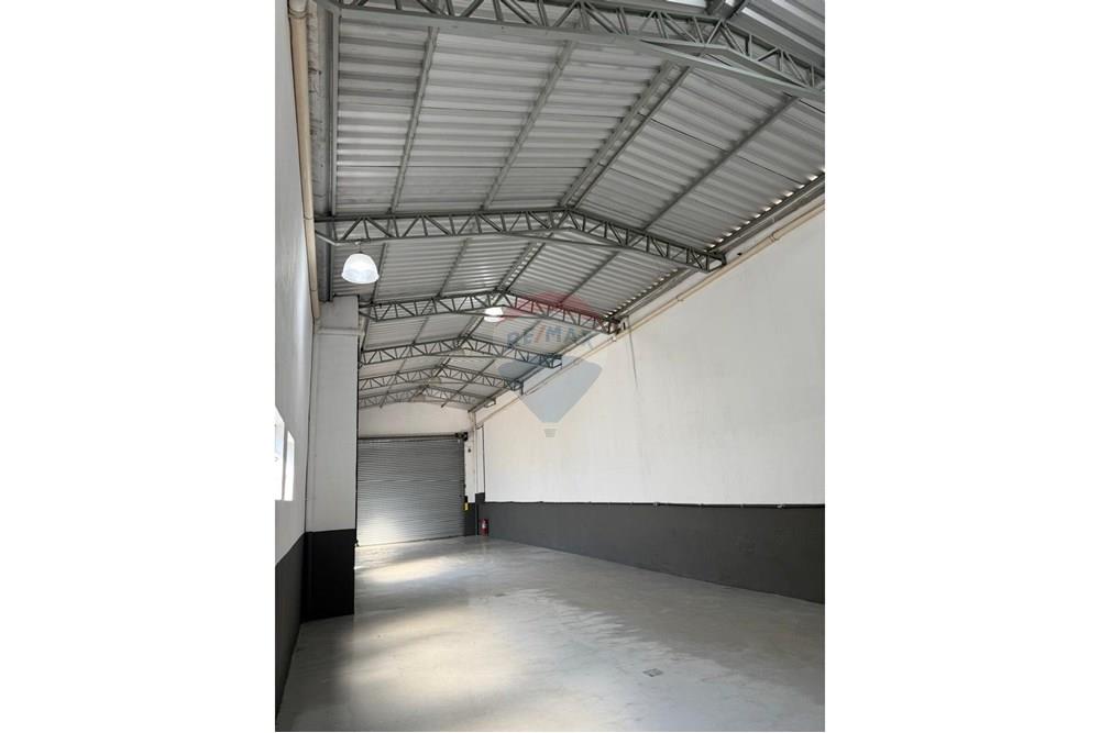 Galpão - Alugar - São Paulo , São Paulo - WhatsApp Image 2025-10-14 at 18.17.28 (1).jpeg - 602101005-84