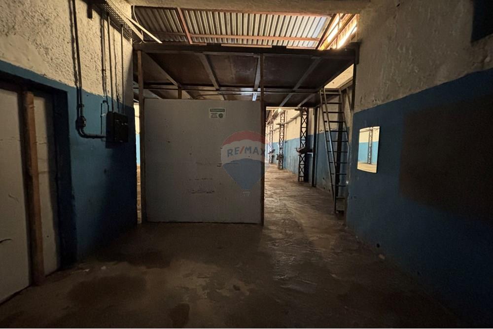 Galpão - Alugar - São Paulo , São Paulo - IMG_9273.JPG - 601081019-50