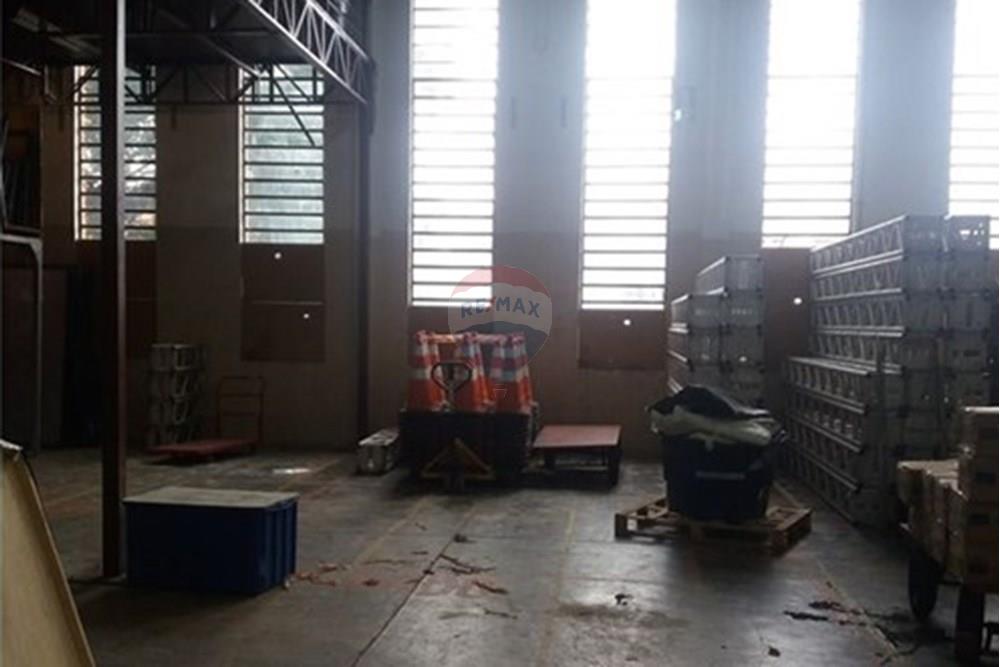 Galpão - Alugar - São Paulo , São Paulo - 16.jpeg - 602291021-242