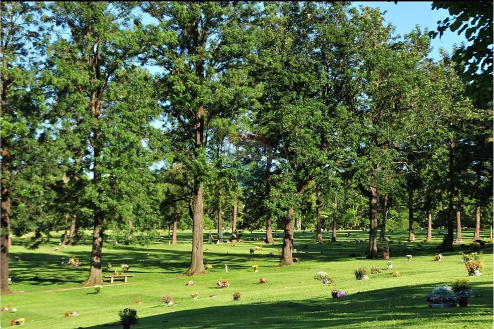 Terreno - Venda - São Paulo , São Paulo - Captura de Tela 2026-01-14 às 22.01.46.jpg - 602321023-45