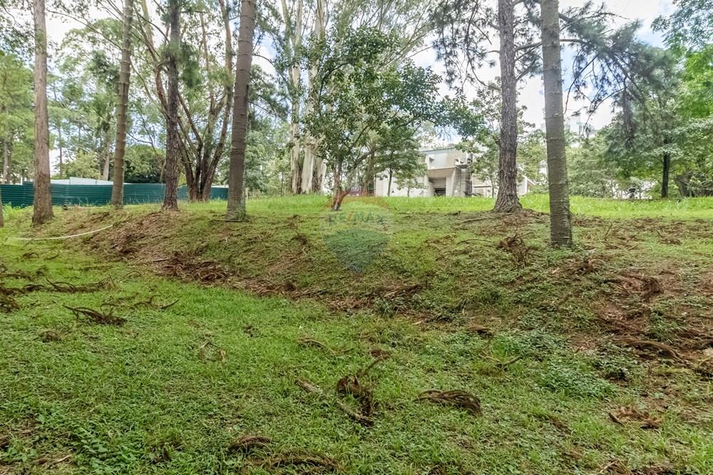 Terreno - Venda - São Paulo , São Paulo - Cópia de IMG_656143.jpg - Pátio interno - 601131046-23