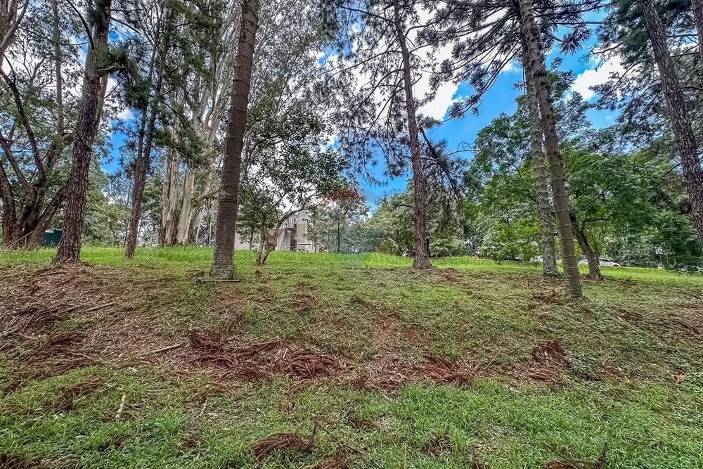 Terreno - Venda - São Paulo , São Paulo - Cópia de IMG_612844.jpg - Pátio interno - 601131046-23