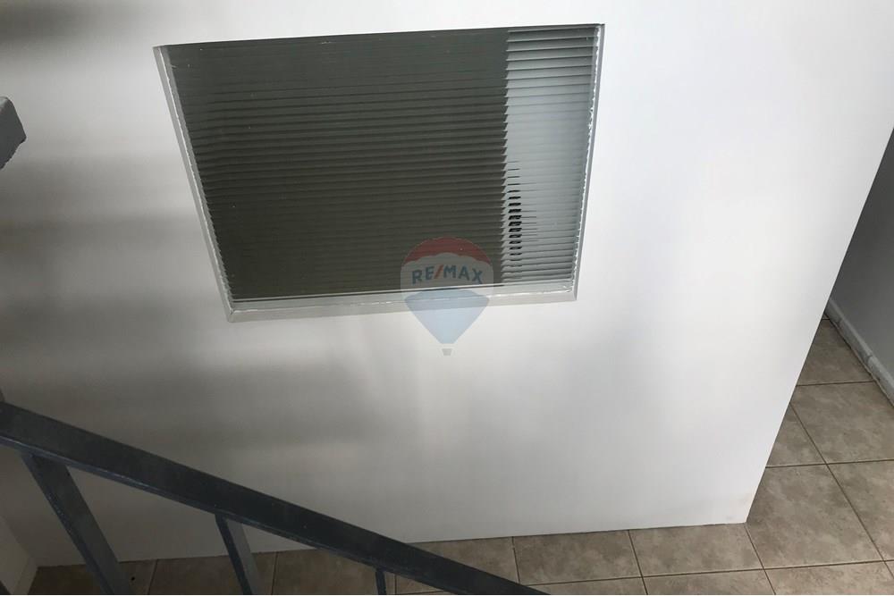 Casa Comercial - Alugar - São Paulo , São Paulo - IMG_6377.JPG - 601971078-9