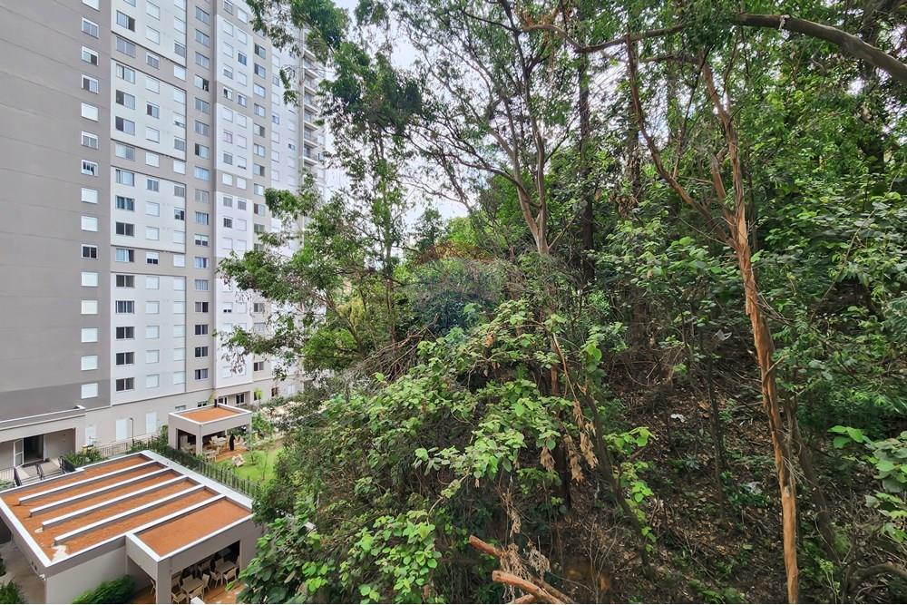 Apartamento - Venda - São Paulo , São Paulo - Cópia de Cópia de 20250315_10043801.jpg - 602261037-40