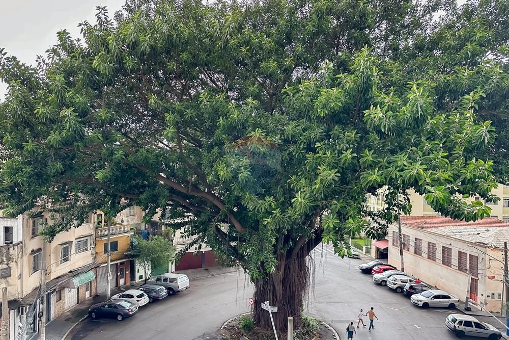 Apartamento - Venda - São Paulo , São Paulo - 1-32.jpg - 602431001-3