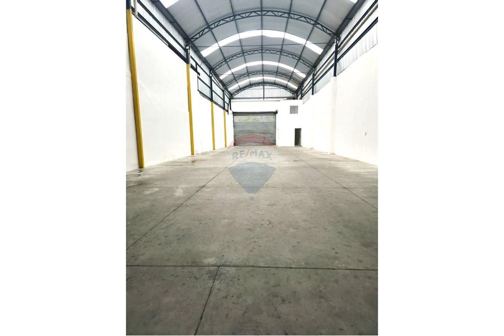 Galpão - Alugar - São Paulo , São Paulo - 7.jpeg - 602291016-202