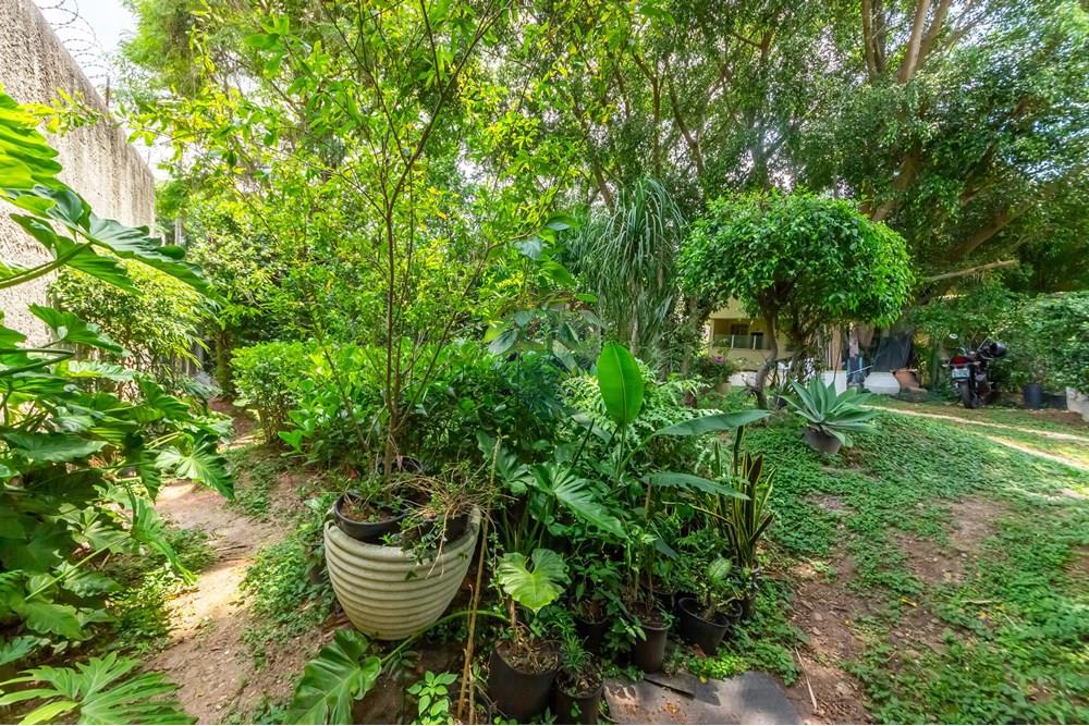 Terreno - Venda - São Paulo , São Paulo - IMG_962607.jpg - 601461011-91