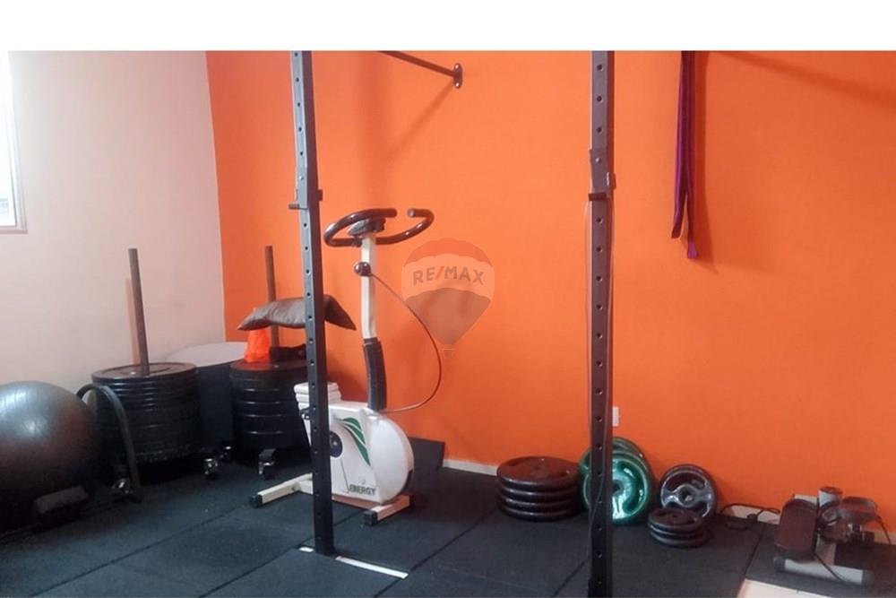 Apartamento - Alugar - São Paulo , São Paulo - WhatsApp Image 2026-03-19 at 16.37.10 (1).jpeg - 602051050-6