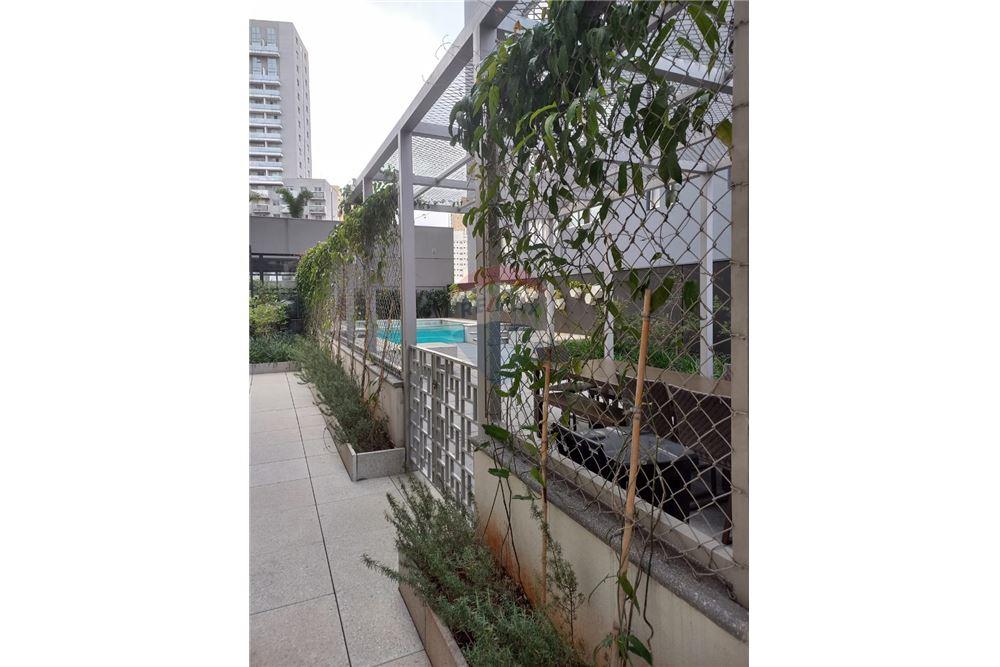 Studio - Alugar - Osasco , São Paulo - 3 - 602101011-252