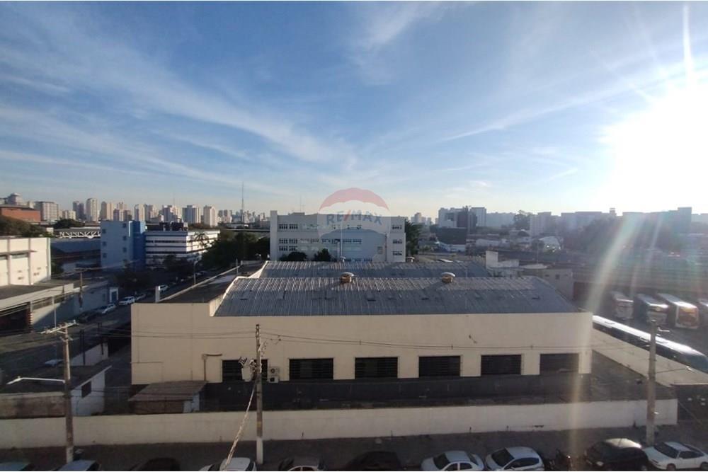 Apartamento - Alugar - São Paulo , São Paulo - WhatsApp Image 2025-08-25 at 12.03.59.jpeg - 602361012-157