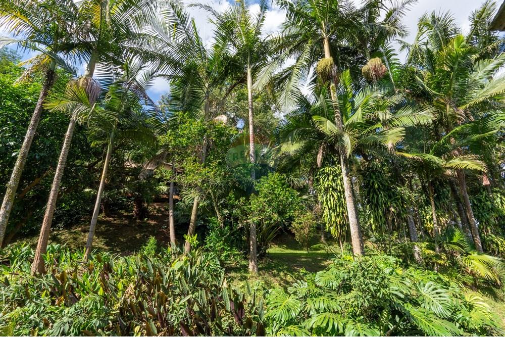 Casa de Condomínio - Venda - Taboão da Serra , São Paulo - 01fotos_064.jpg - 601251176-14