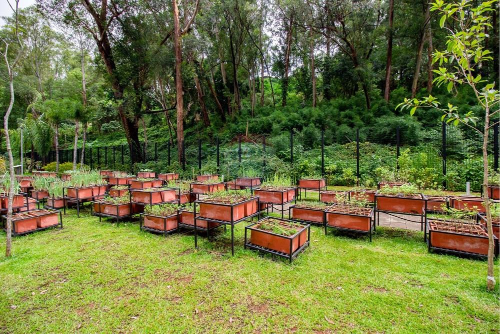 Apartamento - Alugar - São Paulo , São Paulo - _MG_5773.JPG - 601361019-3226