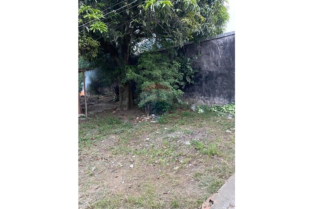 Terreno - Venda - São Paulo , São Paulo - WhatsApp Image 2025-05-05 at 18.17.14.jpeg - 601051021-250