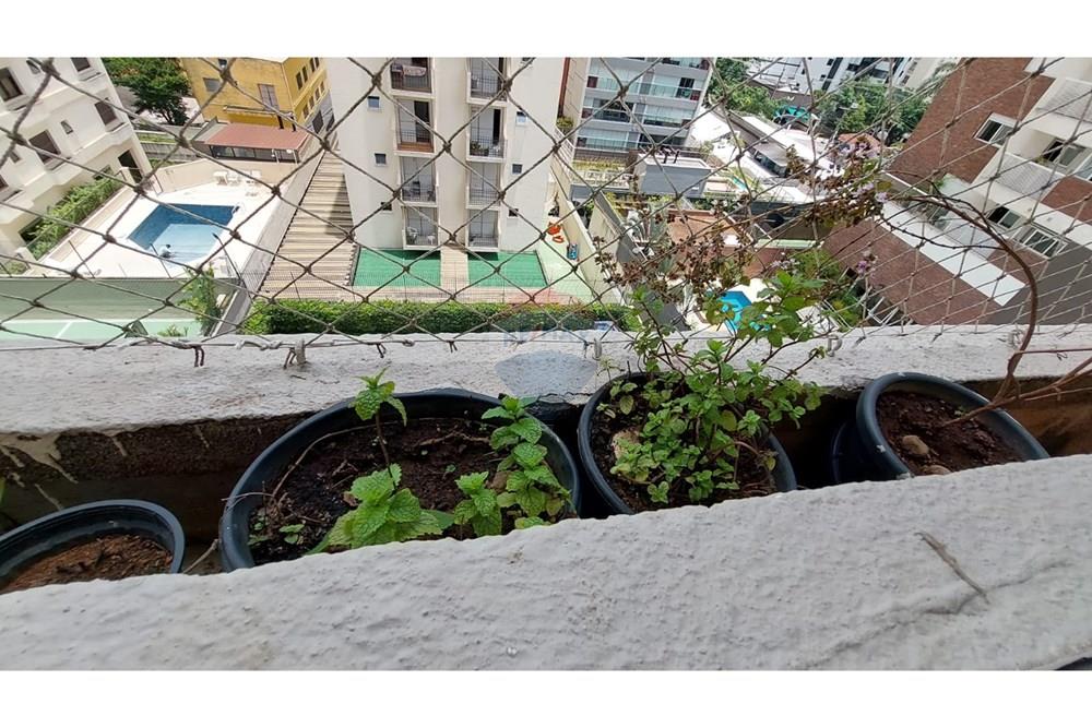 Apartamento - Alugar - São Paulo , São Paulo - WhatsApp Image 2025-01-24 at 08.37.06.jpeg - 602151006-87