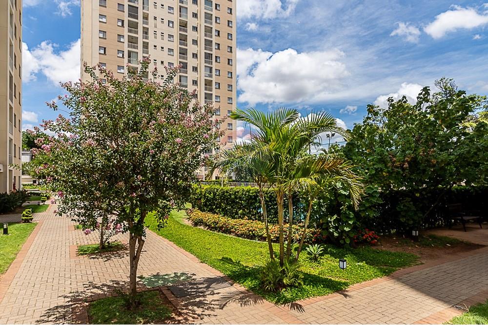 Apartamento - Venda - São Paulo , São Paulo - 68_AP.jpg - 601471009-88