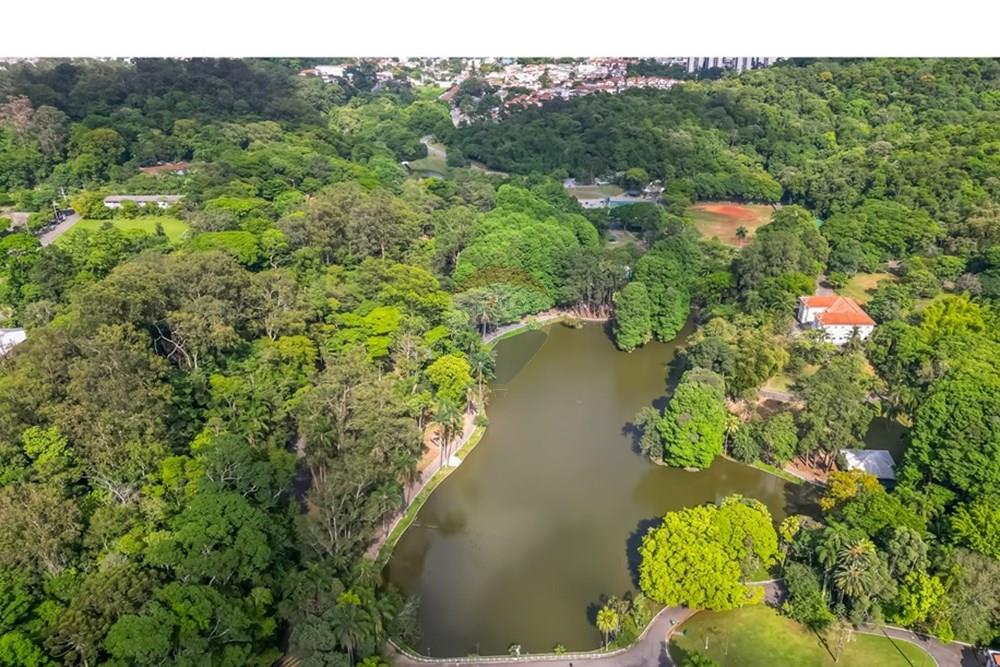 Terreno - Venda - São Paulo , São Paulo - DJI_064215.jpg - 602291040-29