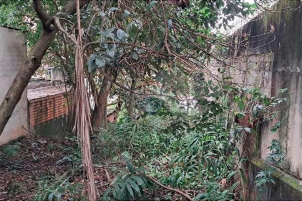 Terreno - Venda - São Paulo , São Paulo - Captura de tela 2026-02-05 165506.jpg - 602321027-8