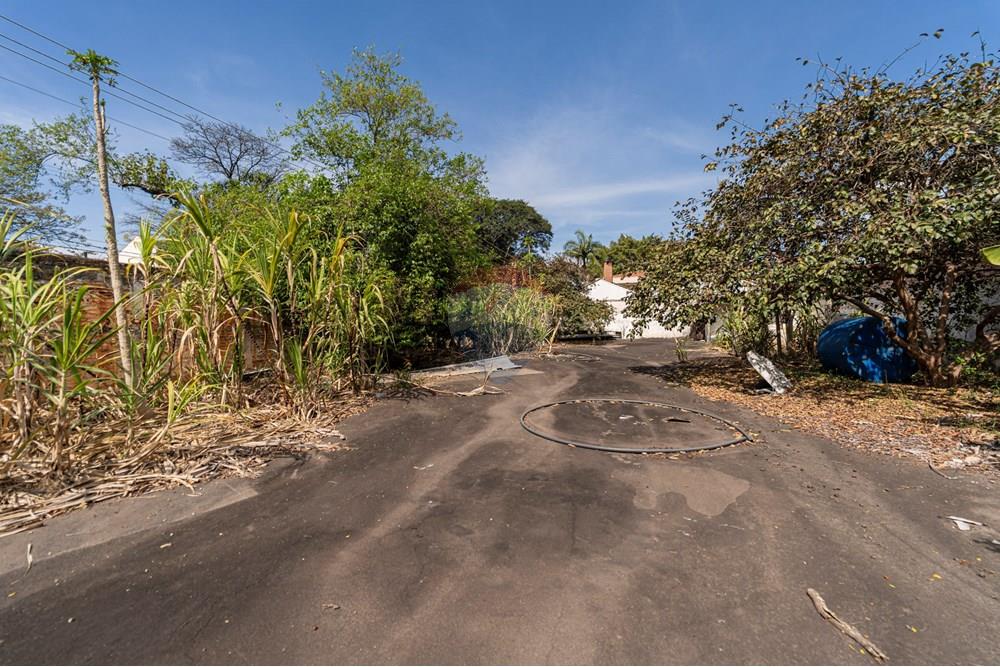 Terreno - Venda - São Paulo , São Paulo - 601301082-18-11.JPG - 601301082-20
