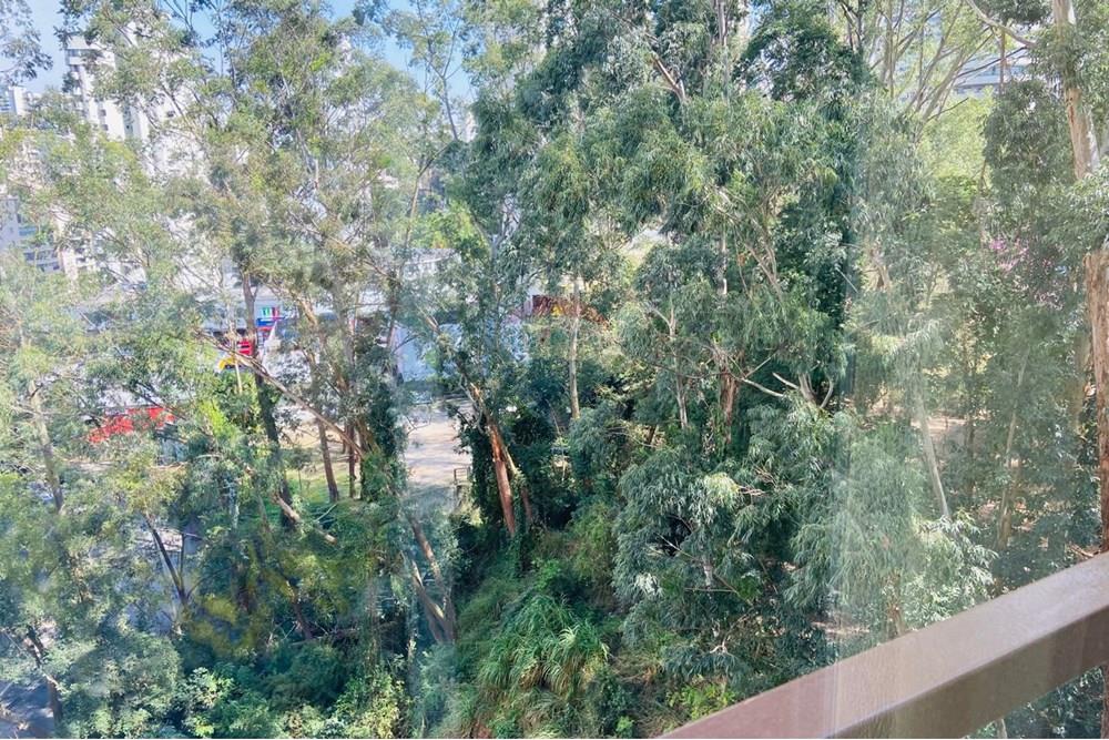 Apartamento - Alugar - São Paulo , São Paulo - IMG-20250822-WA0114.jpg - 602071018-51