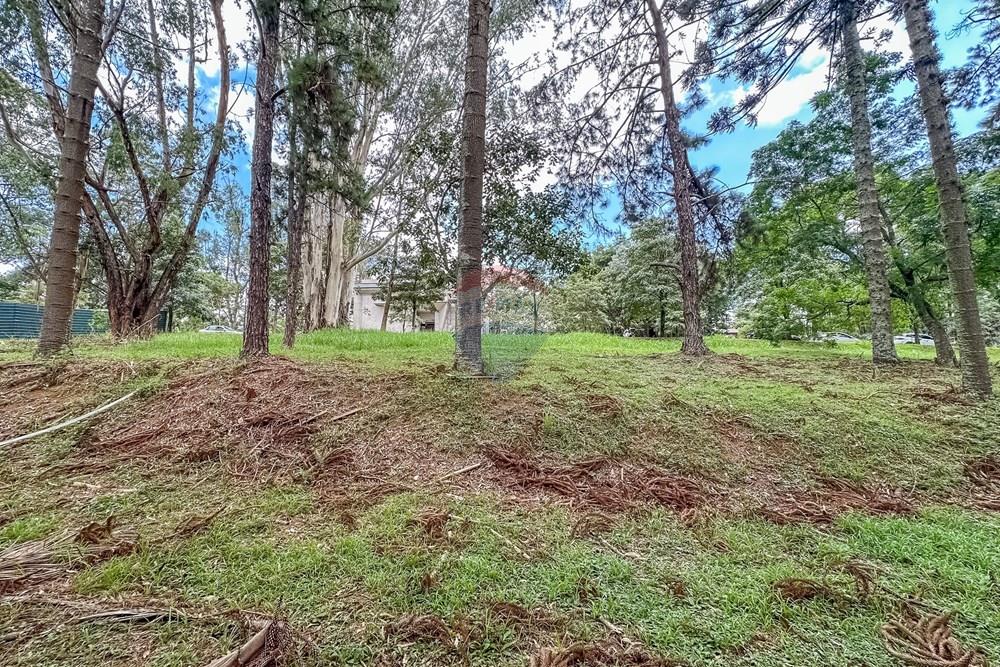 Terreno - Venda - São Paulo , São Paulo - Cópia de IMG_612136.jpg - Pátio interno - 601131046-23