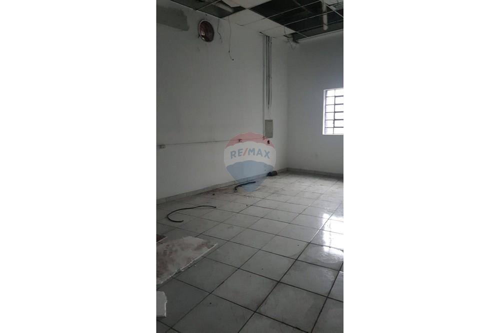 Loja - Alugar - São Paulo , São Paulo - WhatsApp Image 2025-04-28 at 10.05.50.jpg - 602521001-8