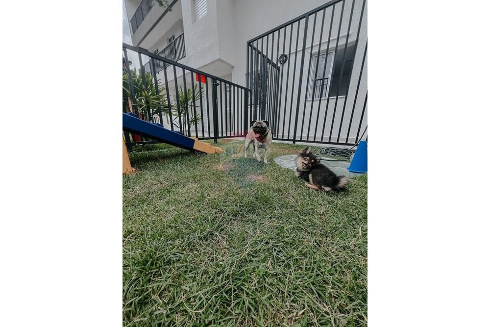 Apartamento - Alugar - São Paulo , São Paulo - WhatsApp Image 2026-01-28 at 14.48.22.jpeg - 602061008-152