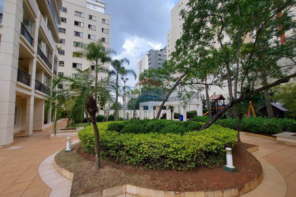 Apartamento - Alugar - São Paulo , São Paulo - 20220221_170657.jpg - 602381002-163