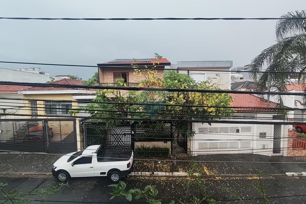 Apartamento - Alugar - São Paulo , São Paulo - 20260127_152109.jpg - 601471004-448