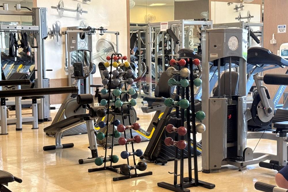 Apartamento - Alugar - São Paulo , São Paulo - 20260109_141532566_iOS.jpg - 602181008-81