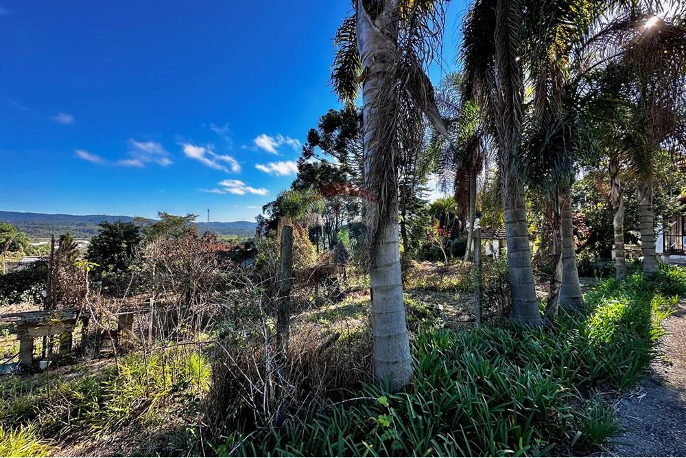 Casa - Venda - Cotia , São Paulo - IMG_8988.jpg - 602331010-36