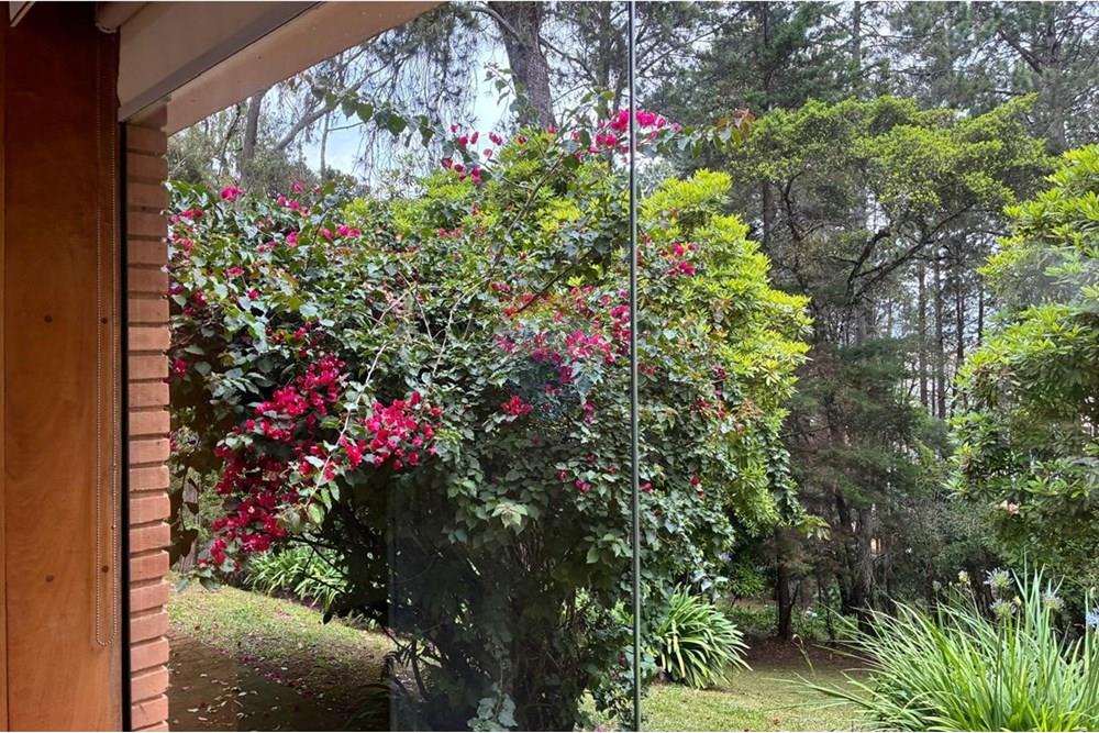 Casa de Campo - Venda - Campos do Jordão , São Paulo - WhatsApp Image 2025-12-15 at 13.59.46 (1).jpeg - 601131073-17