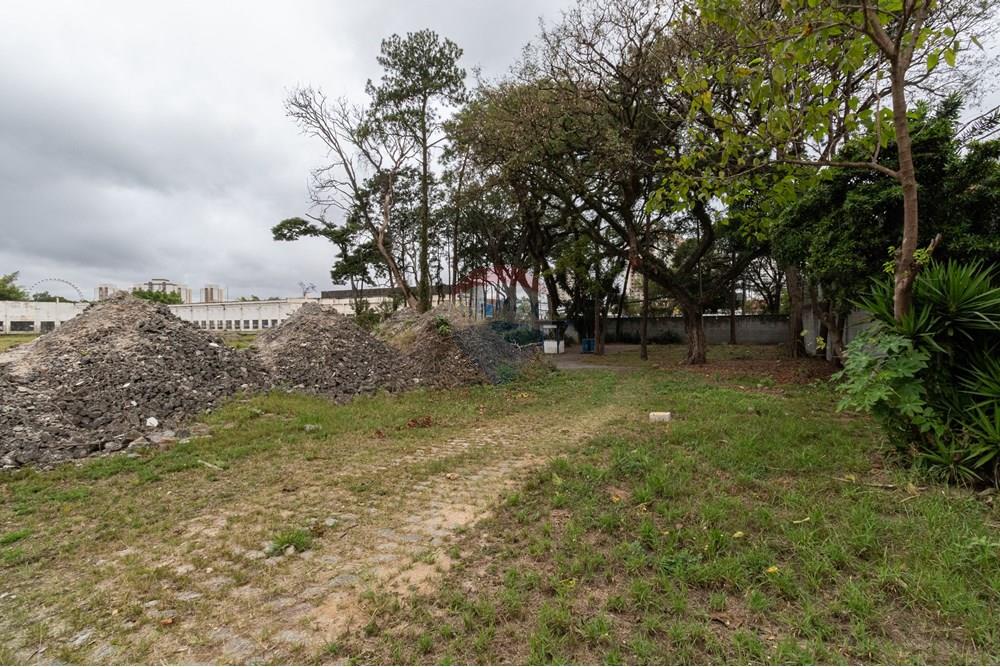 Terreno - Venda - São Paulo , São Paulo - 01fotos_062.jpg - 601251084-263