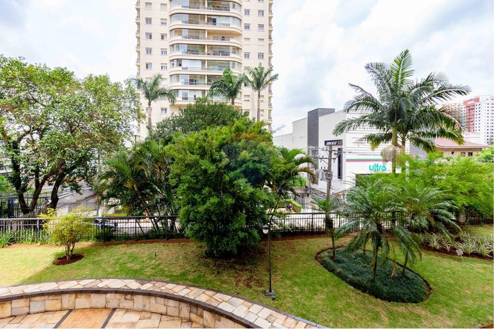 Apartamento - Alugar - São Paulo , São Paulo - _MG_8066.jpg - 601361020-453