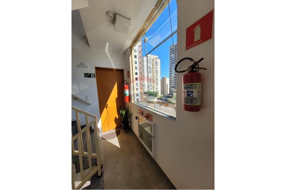 Apartamento - Alugar - São Paulo , São Paulo - IMG-20241208-WA0031.jpg - 602291010-294