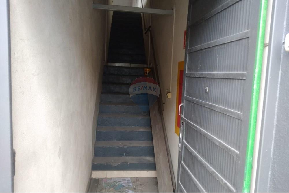 Galpão - Alugar - São Paulo , São Paulo - e8819805-208c-4c74-a270-787d765e1284.jpeg - 601141061-83