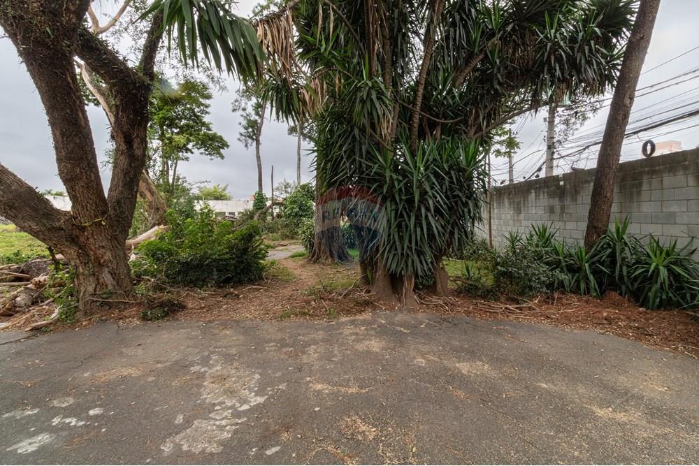 Terreno - Venda - São Paulo , São Paulo - 01fotos_059.jpg - 601251084-263