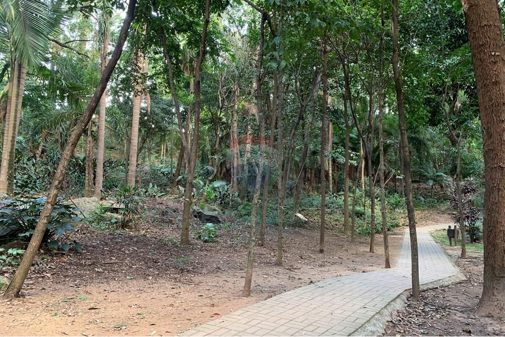 Apartamento - Venda - São Paulo , São Paulo - Bosque 2.JPG - 601191032-45