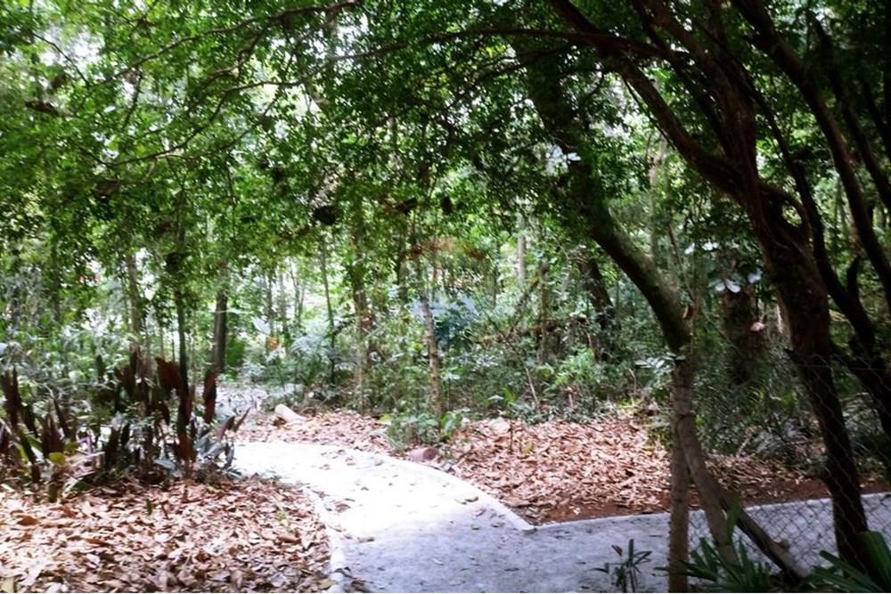 Apartamento - Venda - São Paulo , São Paulo - Bosque - área comum (9).jpg - 601141003-333