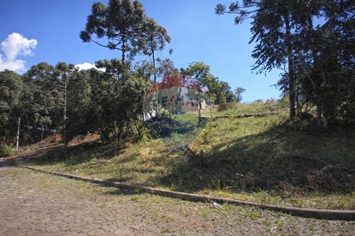 Venda-Terreno-Agrícola , Erechim , Rio Grande do Sul , 99714482-612761027-29