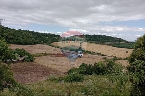 Venda-Chácara / Sítio / Fazenda-Linha Jacutinga , s/n  - Interior  - Centro , Sarandi , Rio Grande do Sul , 99560000-610341020-16